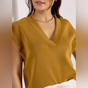 NWOT EVEREVE Eva Sleek V Neck top L Tapenade